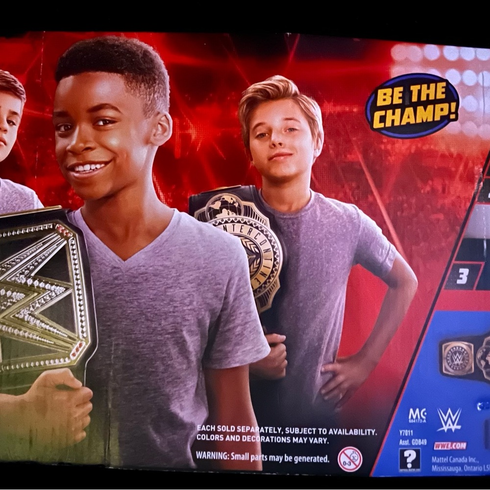 WWE Championship Belt with Gold and Black Accents - Picture 2 of 5